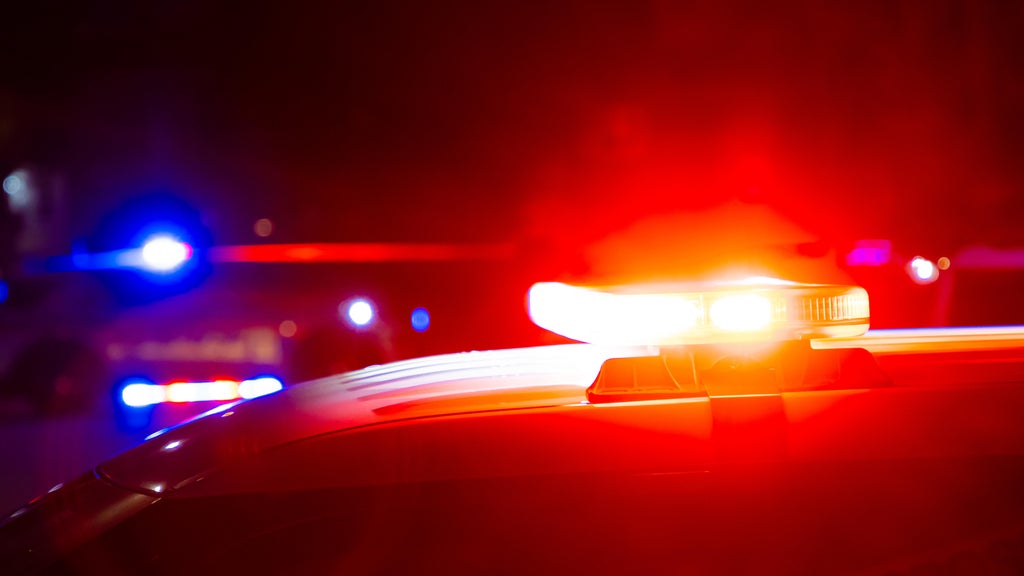 Driver killed in head-on collision with semi in central Minnesota — Minnetonka Sports news
