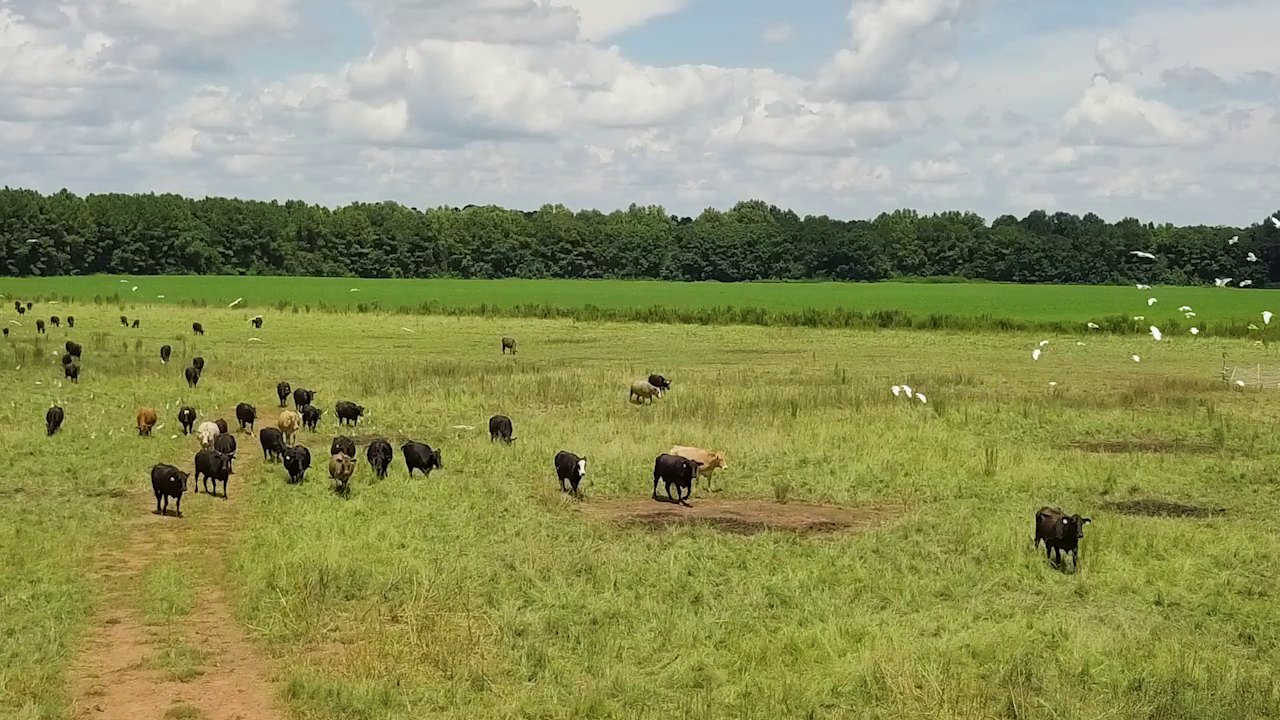 5 ON YOUR SIDE: Regenerative agriculture — Minnetonka Health news